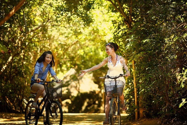 Free Hotel bike rental  Art Hotel Commercianti Bologna