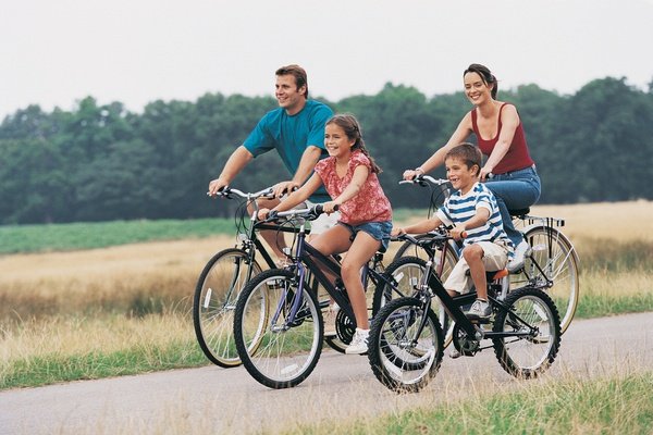 BIKE RENTAL Art Hotel Novecento Bologna, Italy BIKE RENTAL Art Hotel Novecento Bologna, Italy