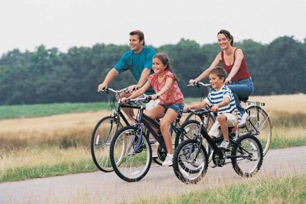 BIKE RENTAL Art Hotel Orologio Bologna BIKE RENTAL Art Hotel Orologio Bologna